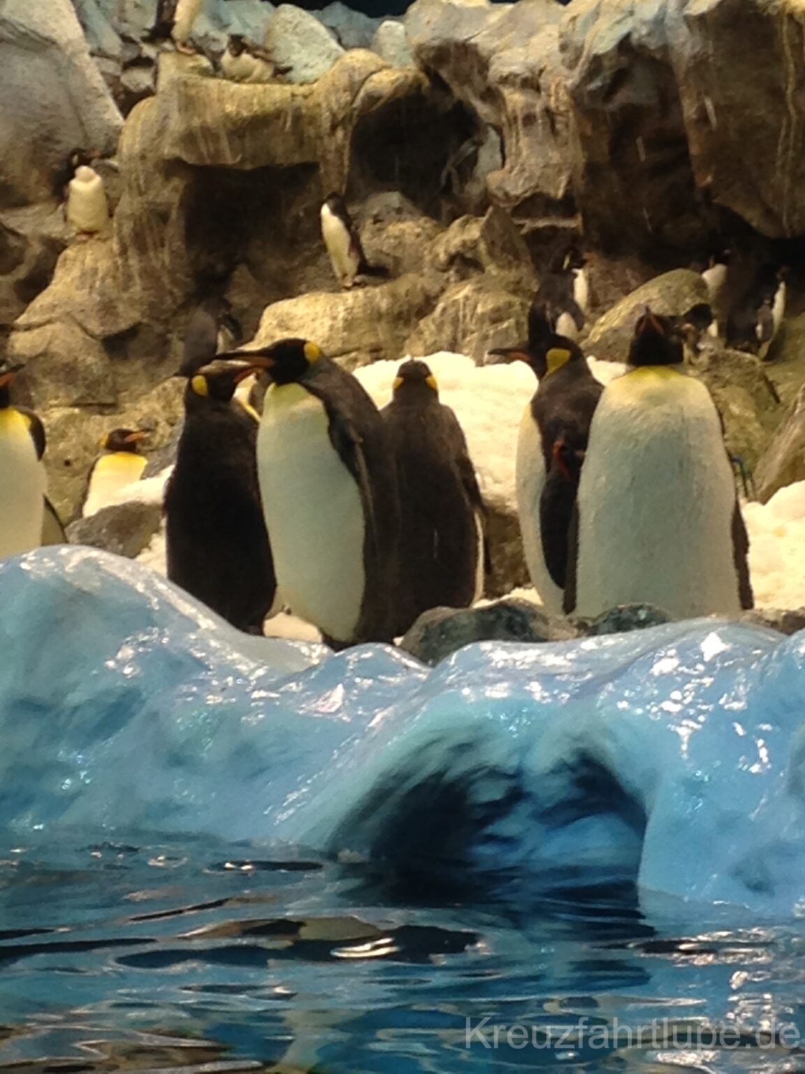 AIDAstella Bewertung & Erfahrungsbericht (2025) ️ Hier lesen!